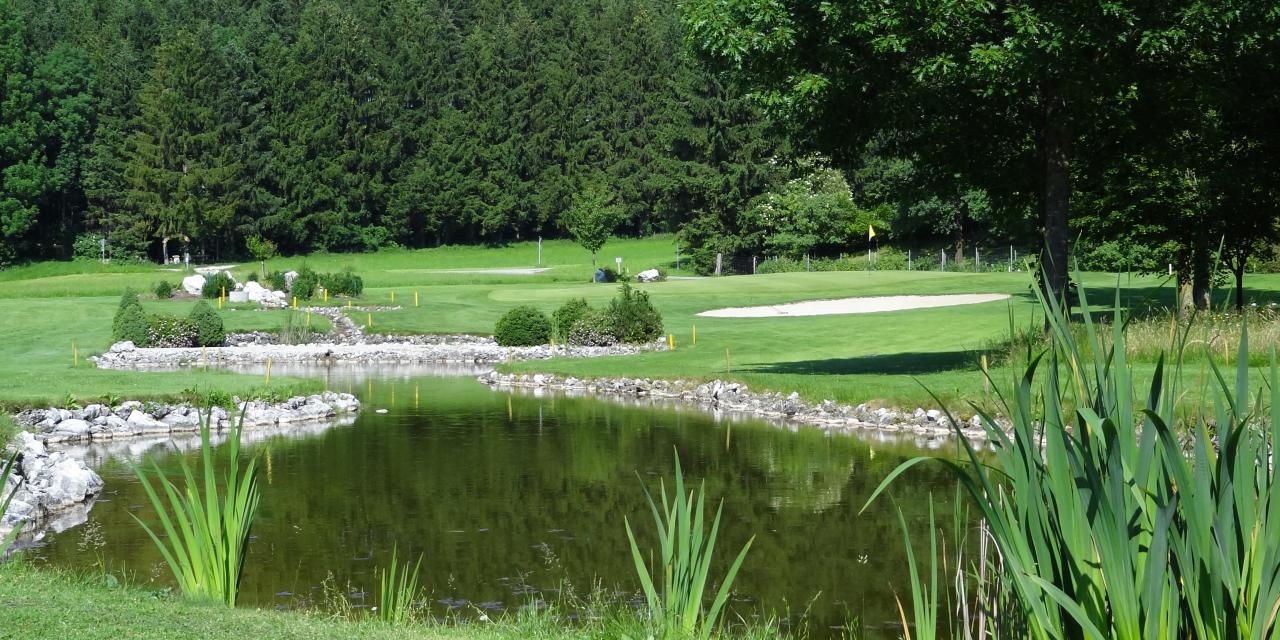 Grün Loch 8 - Par 4 Grün Loch 8 - Par 4