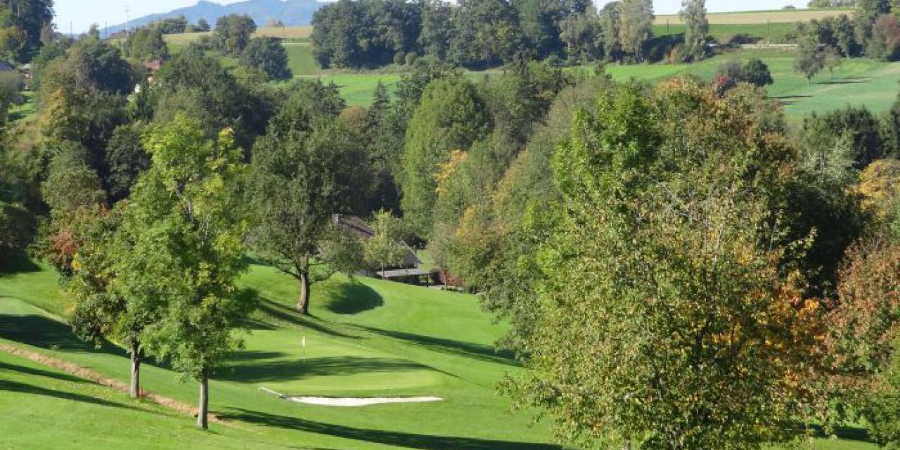 Grün Loch 11 - Par 4 Grün Loch 11 - Par 4